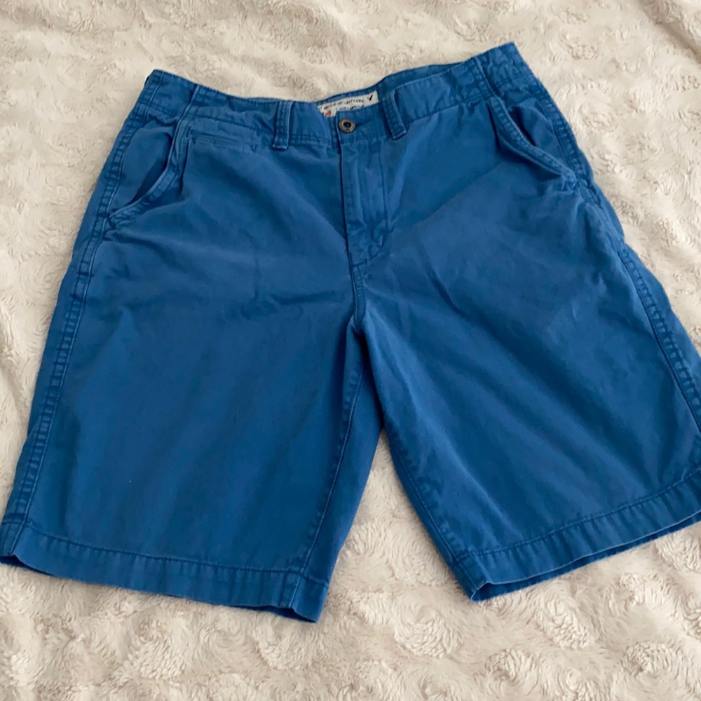 American Eagle Outfitters Longboard Shorts